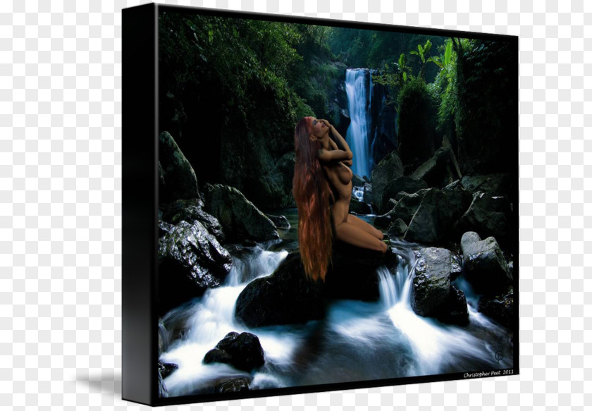 Laptop Desktop Wallpaper 1080p High-definition Television Computers PNG