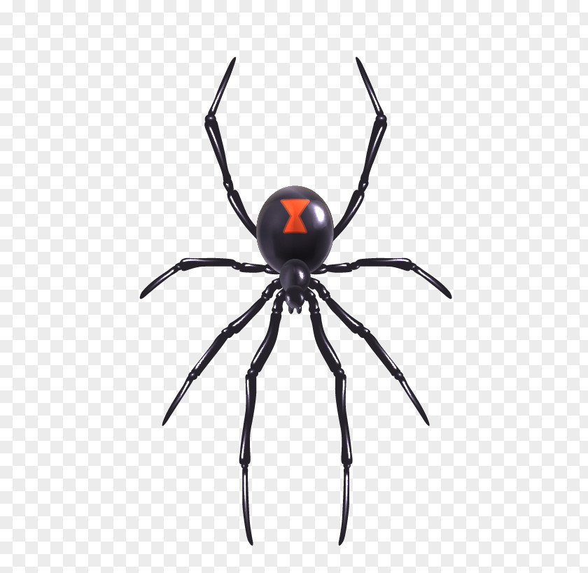 Spider Vector Material Royalty-free Illustration PNG