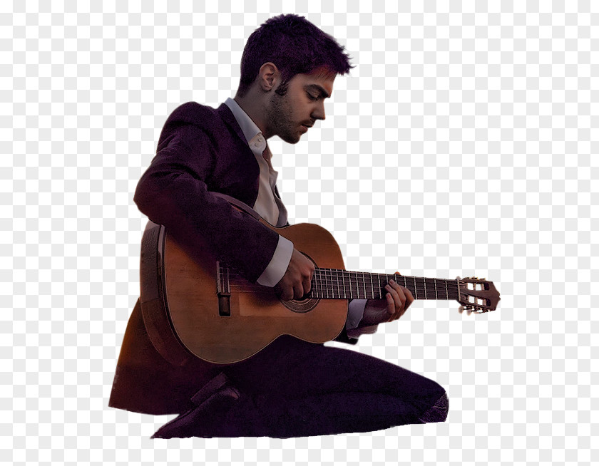 Acoustic Guitar Prince Electric Musician PNG