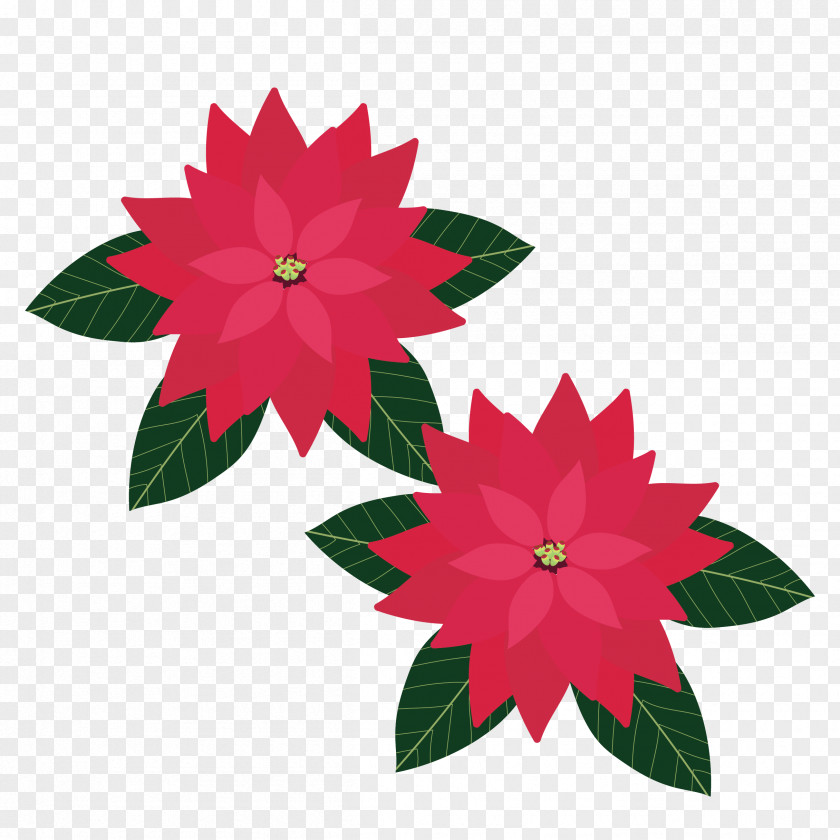 Floral Design Christmas Day Illustration Poinsettia PNG