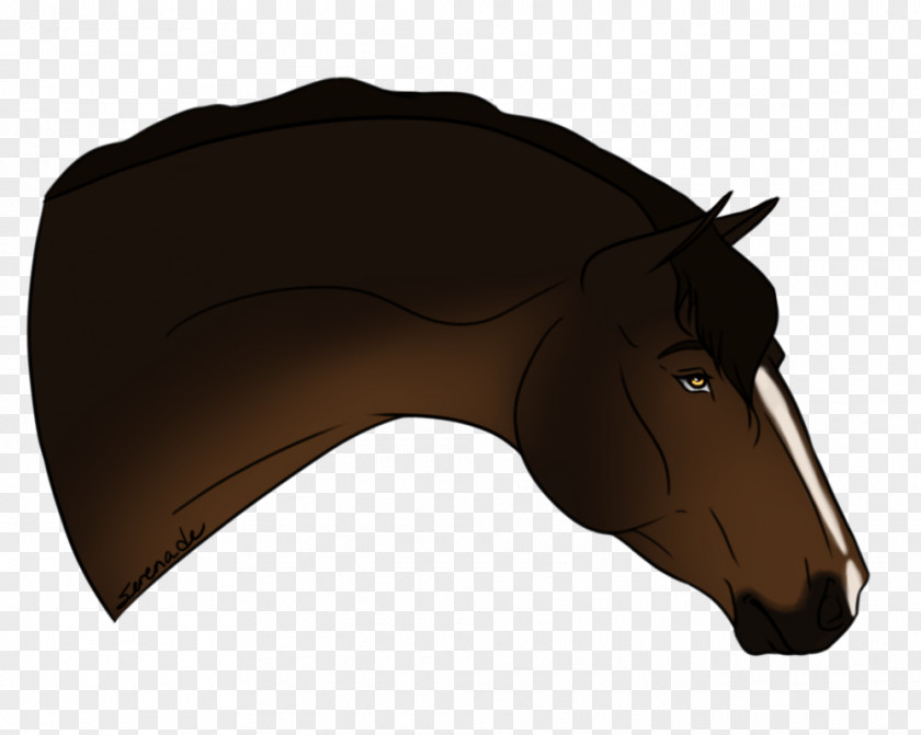 How Many Shots Fired Mane Mustang Rein Halter Bridle PNG