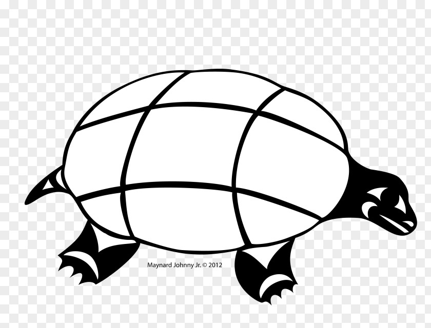 Turtle Tortoise Sea Gray Wolf Reptile PNG