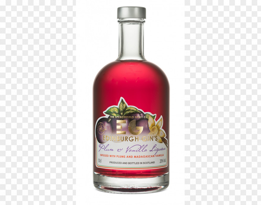 Wine Gin And Tonic Distilled Beverage Elderflower Cordial Liqueur PNG