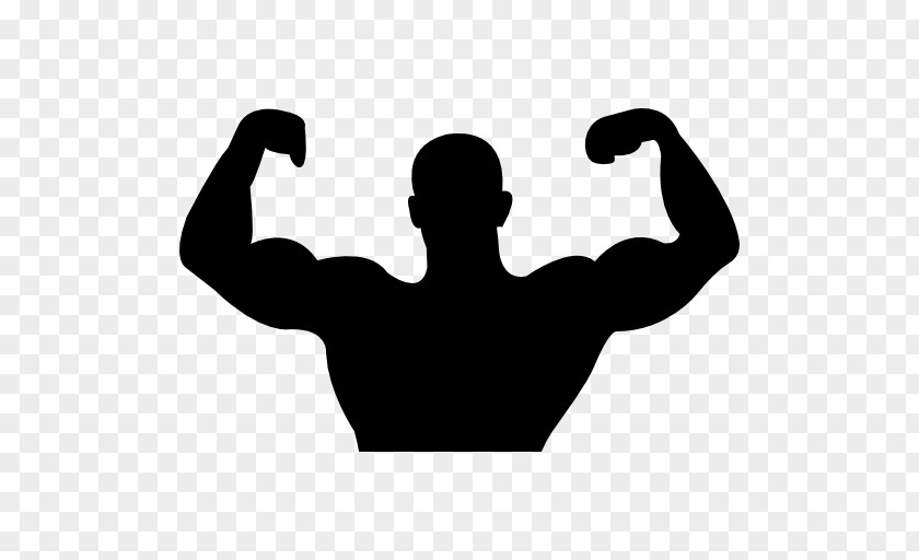 Arm Muscle Biceps PNG