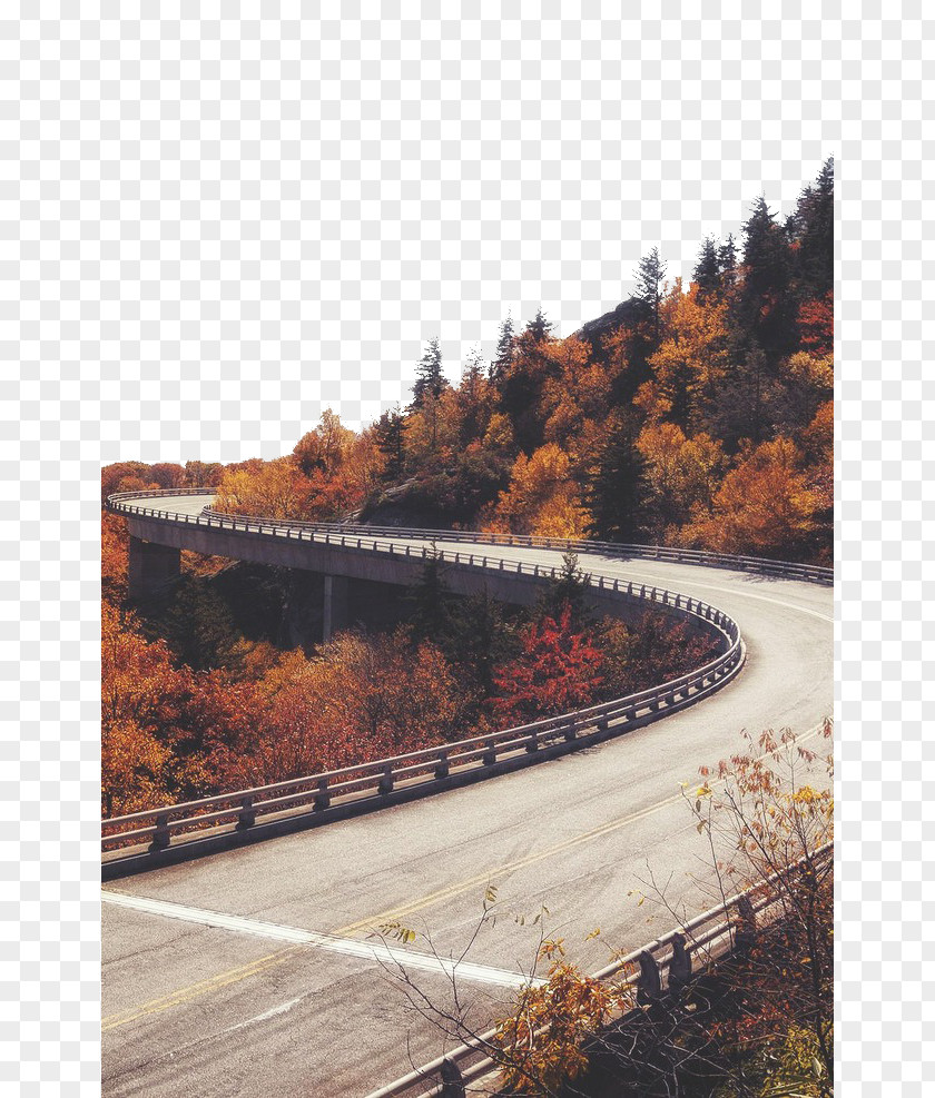 Curved Mountain Road Cider Doughnut Apple Margot Tenenbaum Autumn Wallpaper PNG