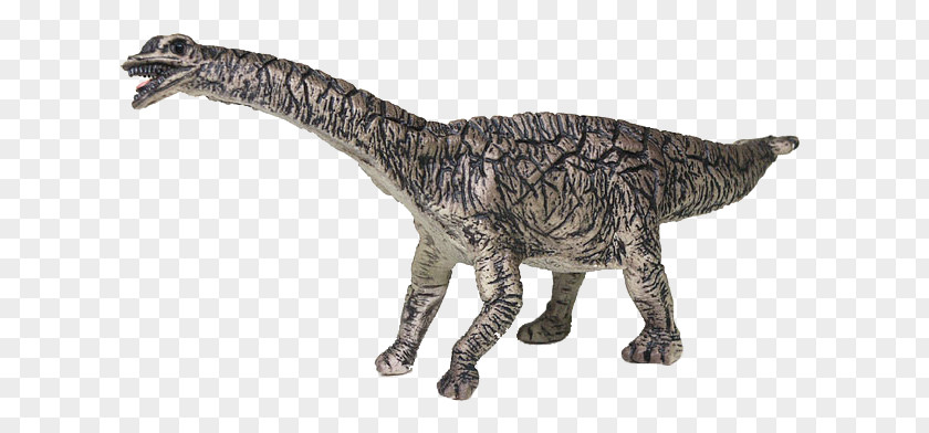 Dinosaur Spinophorosaurus Tyrannosaurus Bullyland Velociraptor PNG