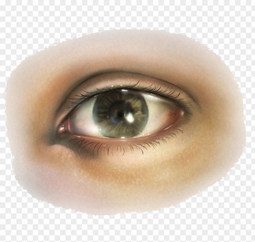 Eyes Corel Painter Drawing Eye Painting PNG