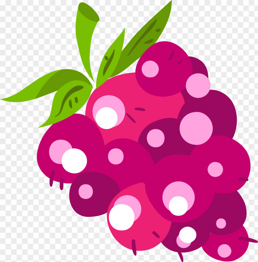 Grape Image Design Clip Art PNG