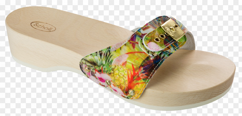 Sandal Flip-flops Slipper Dr. Scholl's Shoe Footwear PNG