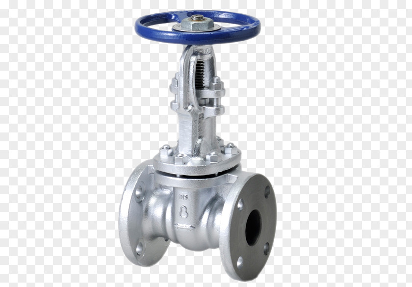 Screw Ductile Iron Gate Valve Flange Pipe PNG