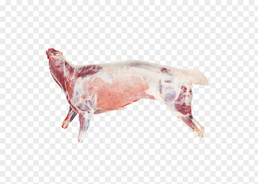 Sheep Goat Meat Lamb And Mutton Leg PNG meat and mutton Leg, sheep clipart PNG