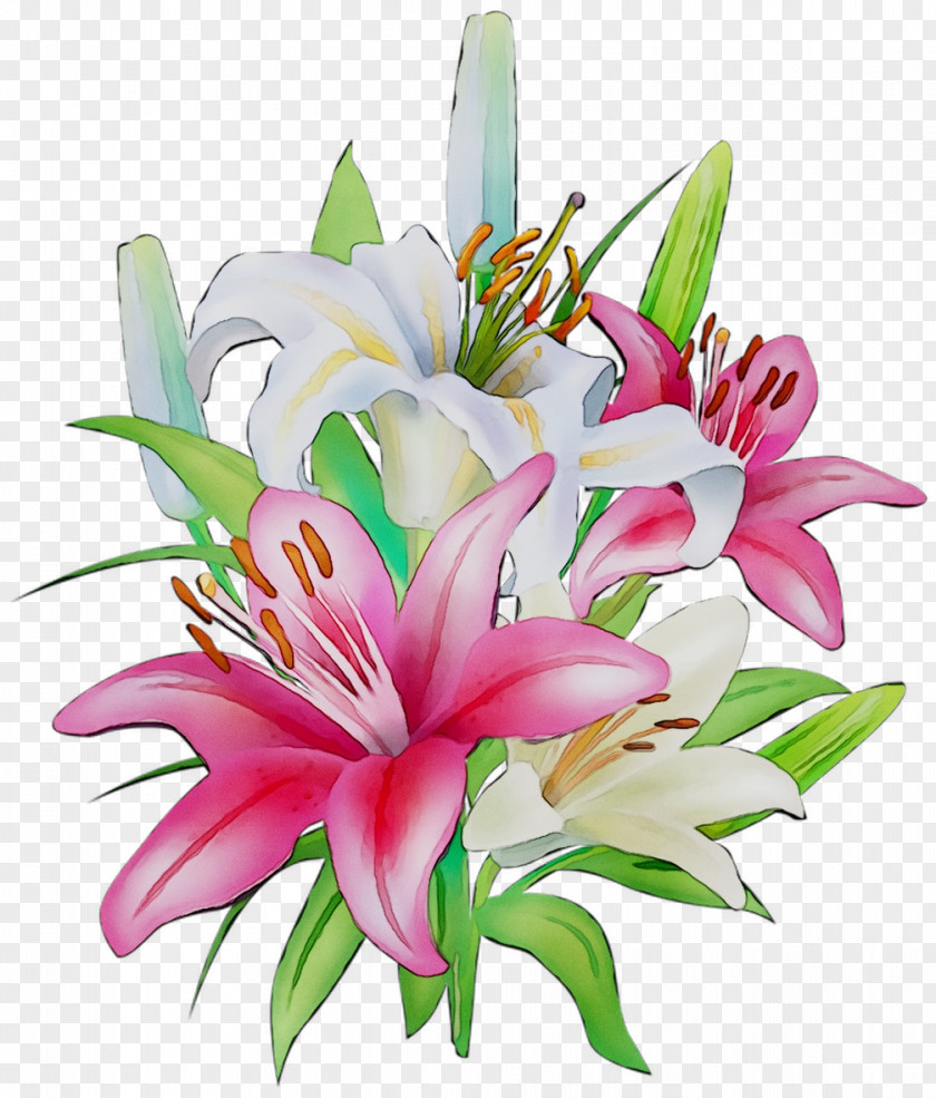Floral Design Flower Image Drawing Painting PNG