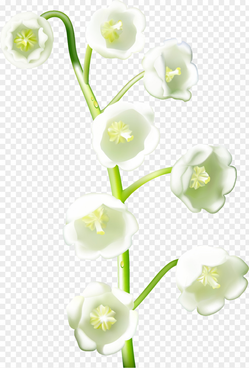 Handpainted Flowers Flower Download Realism PNG