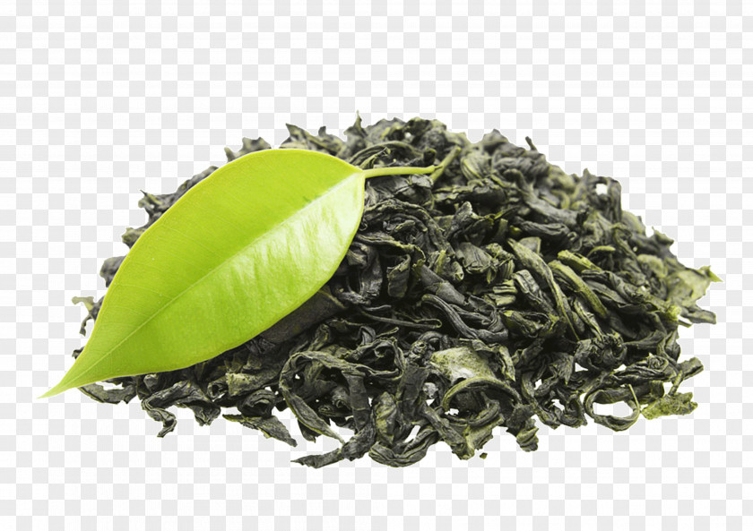 Tea Green Organic Food India Black PNG
