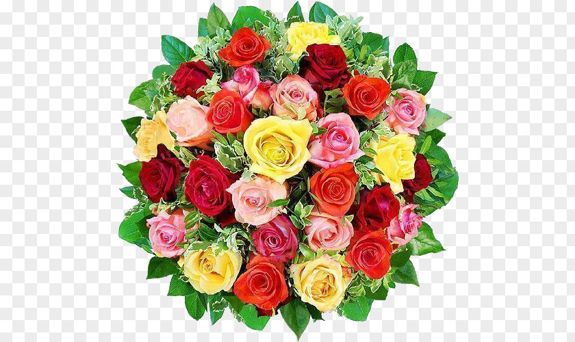 Flower Cut Flowers Wreath Rose WhatsApp PNG