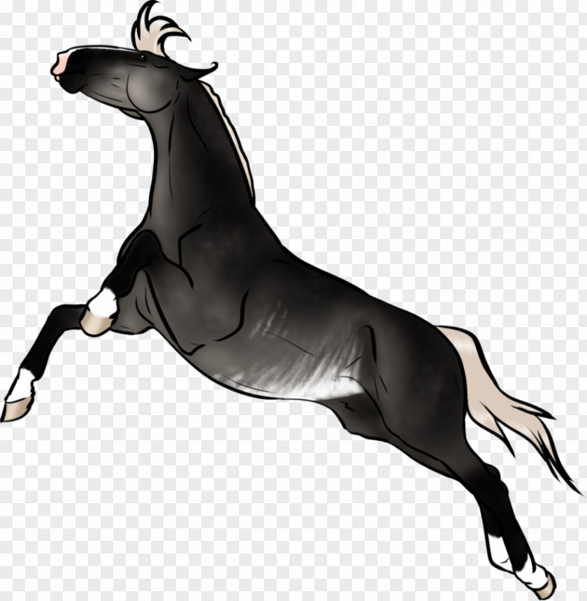 Forbidden Mustang Pony Stallion Rein Pack Animal PNG