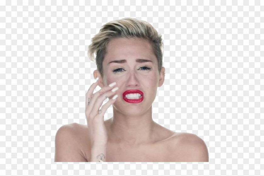 Miley Cyrus Wrecking Ball GIF Art Musician PNG
