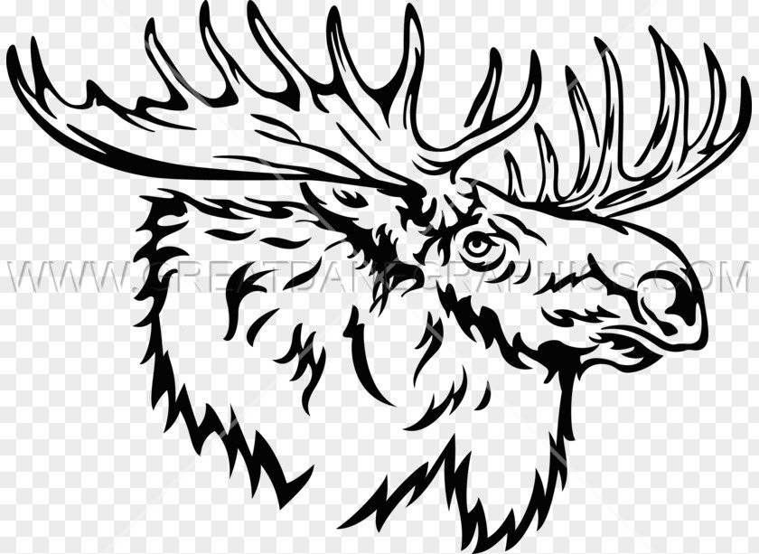 Moose Head Line Art Drawing Black And White Clip PNG