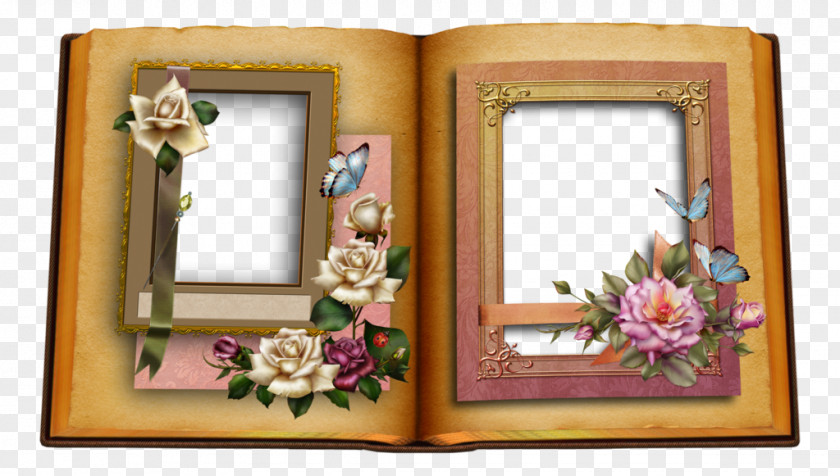 Picture Frames Photography PNG