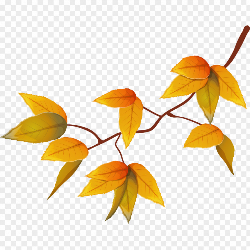 Yellow Autumn Leaves Adobe Illustrator Illustration PNG