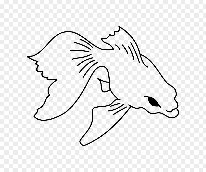 Aquatic Creatures Coloring Book Flathead Catfish PNG