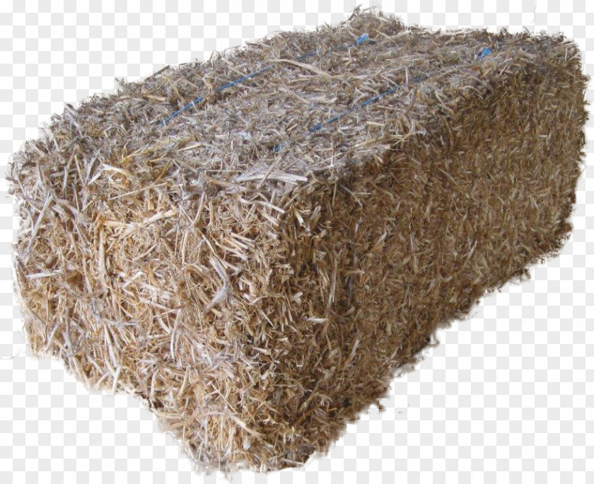 Baleofhay Angus Cattle Haystack Breed Straw PNG