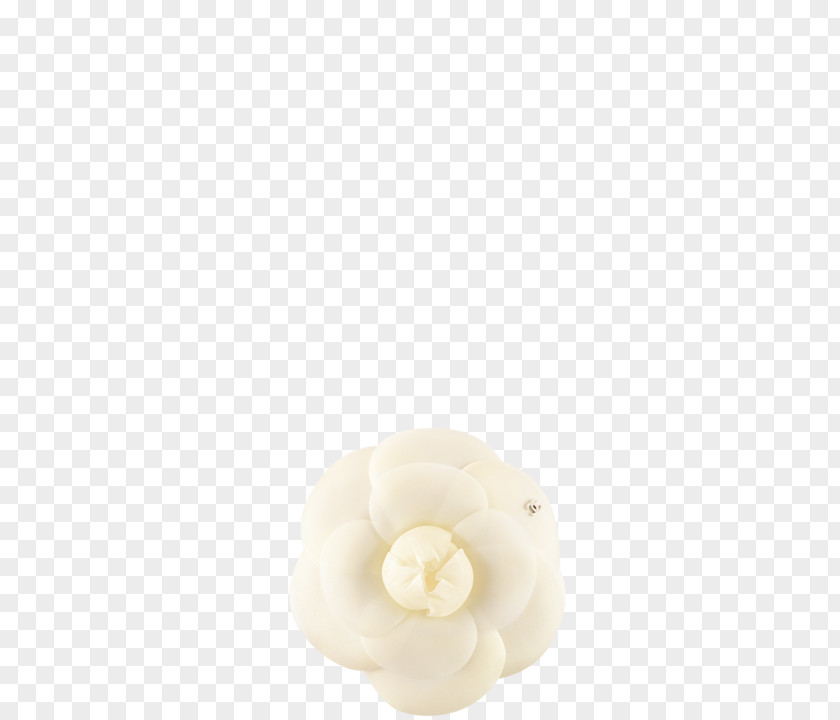 Camellia Petal PNG