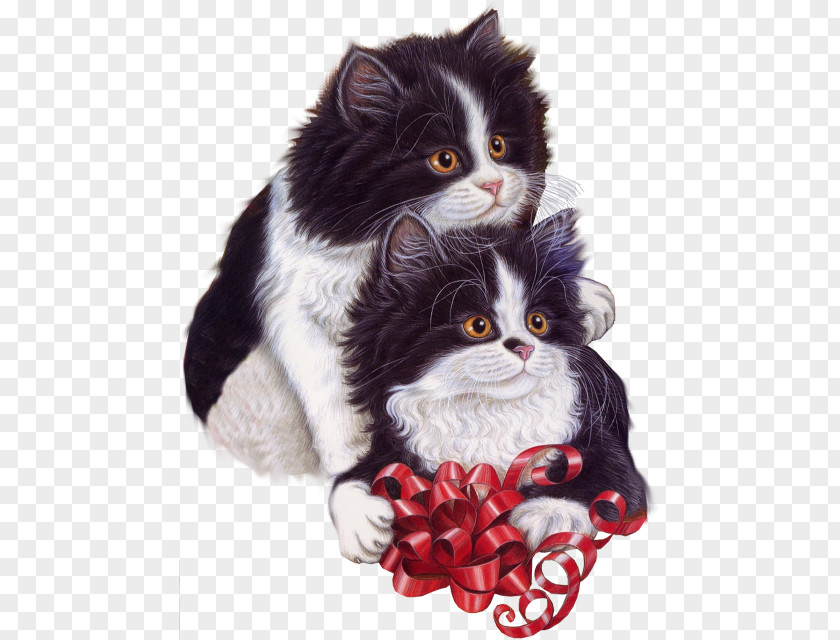 Cat Kitten Birthday Christmas Clip Art PNG