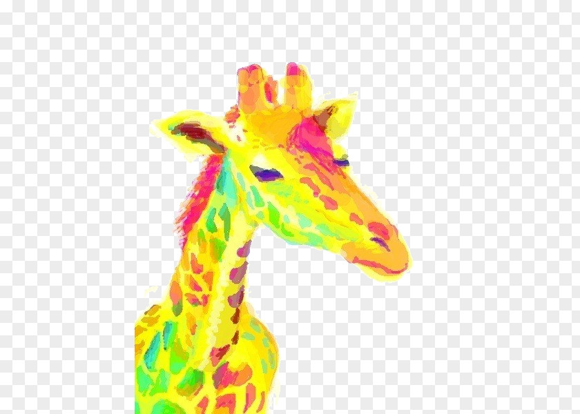Watercolor Yellow Giraffe Head Northern Download IPhone 4 Wallpaper PNG