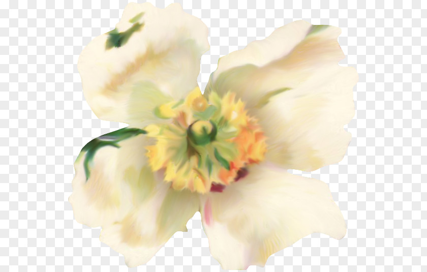 Easter Egg Flower Clip Art PNG