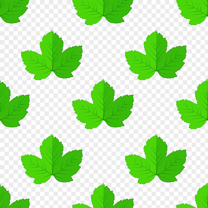 Floral Design PNG