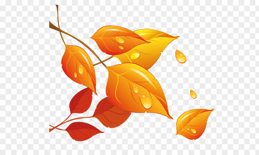 Golden Autumn Leaves Leaf Clip Art PNG