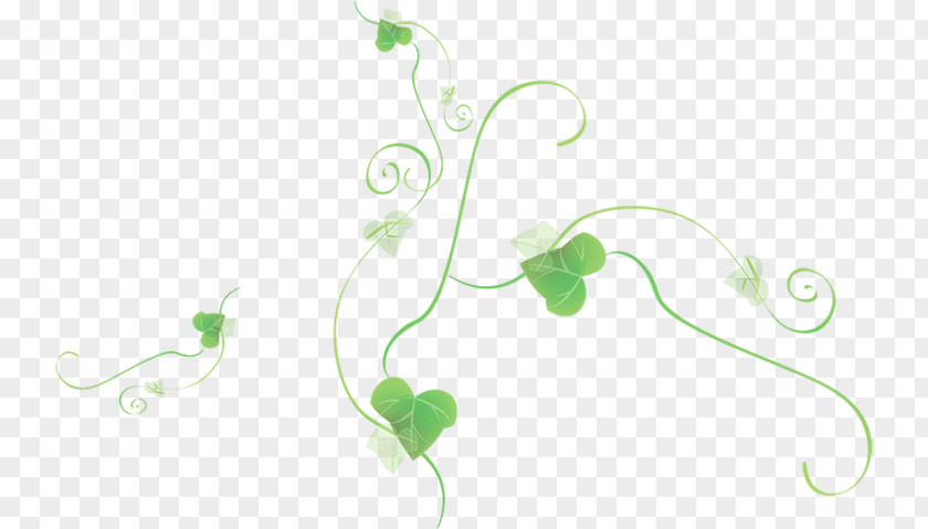 Leaf Swag Product Design Plant Stem Flower PNG