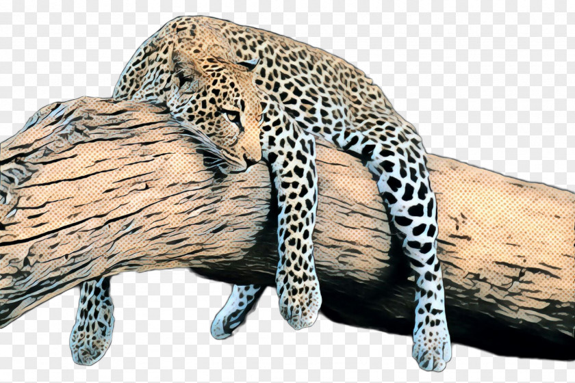 Leopard Cheetah Ocelot Fauna Fur PNG