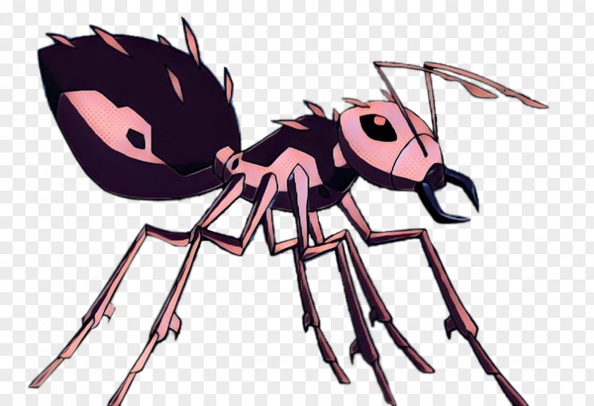 Orbweaver Spider Tarantula Cartoon PNG