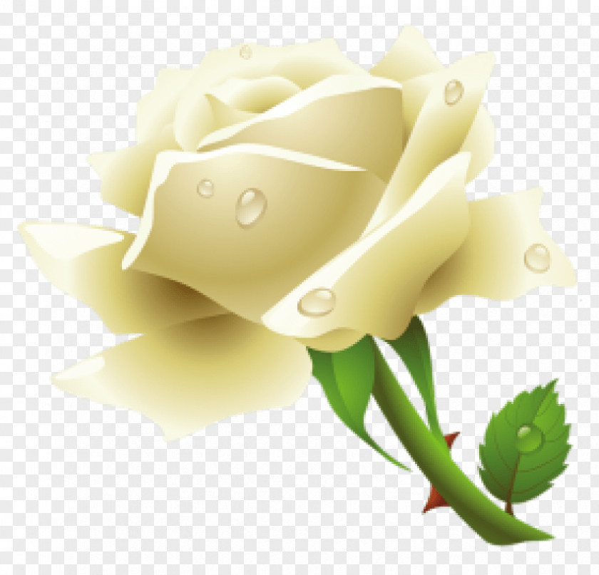 Rose Clip Art PNG