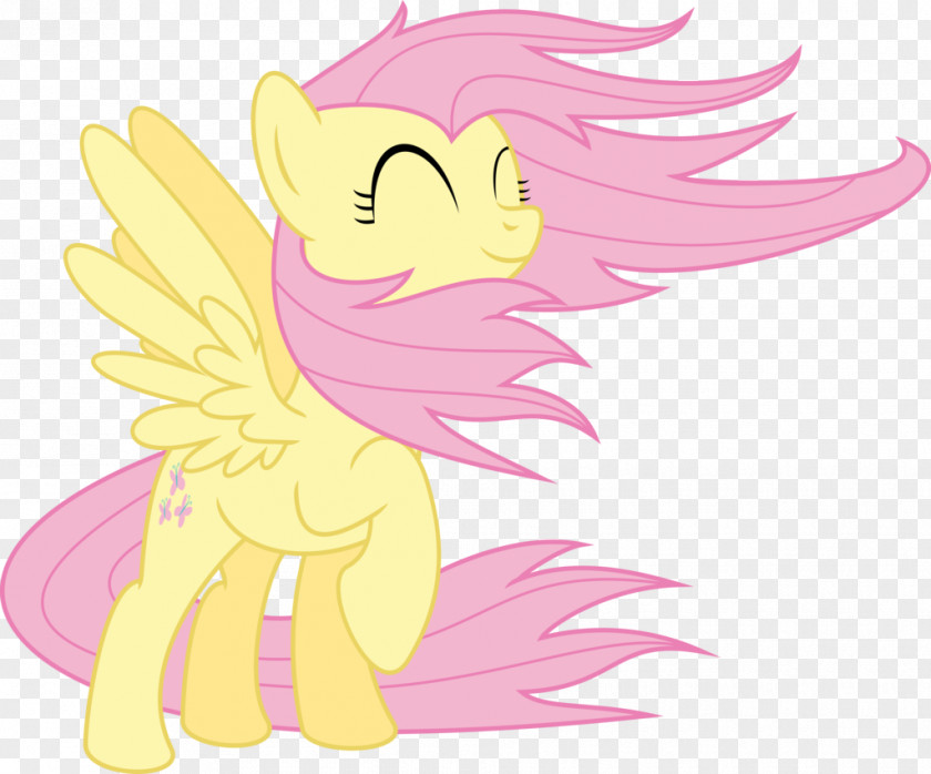 Sadio Mane Pony Princess Celestia Fluttershy Fairy Lorica Segmentata PNG