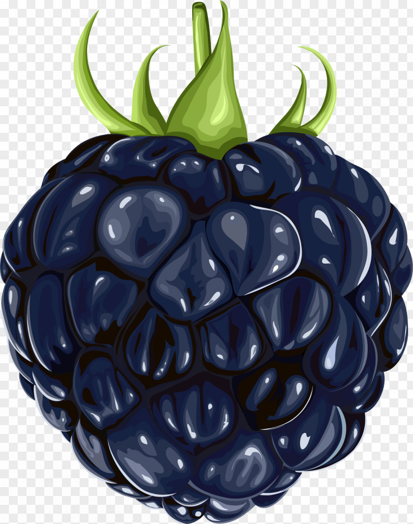 Blackberry BlackBerry Fruit Clip Art PNG