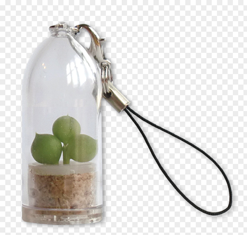 Bubble And Beans Key Chains Cactaceae Plant Keyring PNG