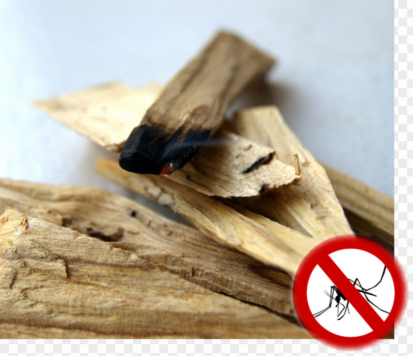 Burnt Trees Palo Santo Ittar Musk Mallow Incense PNG