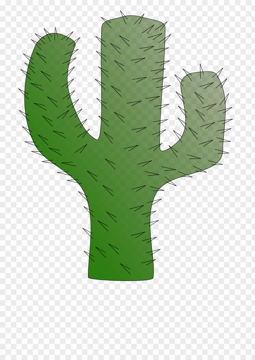 Cactus Cactaceae Saguaro Succulent Plant Clip Art PNG