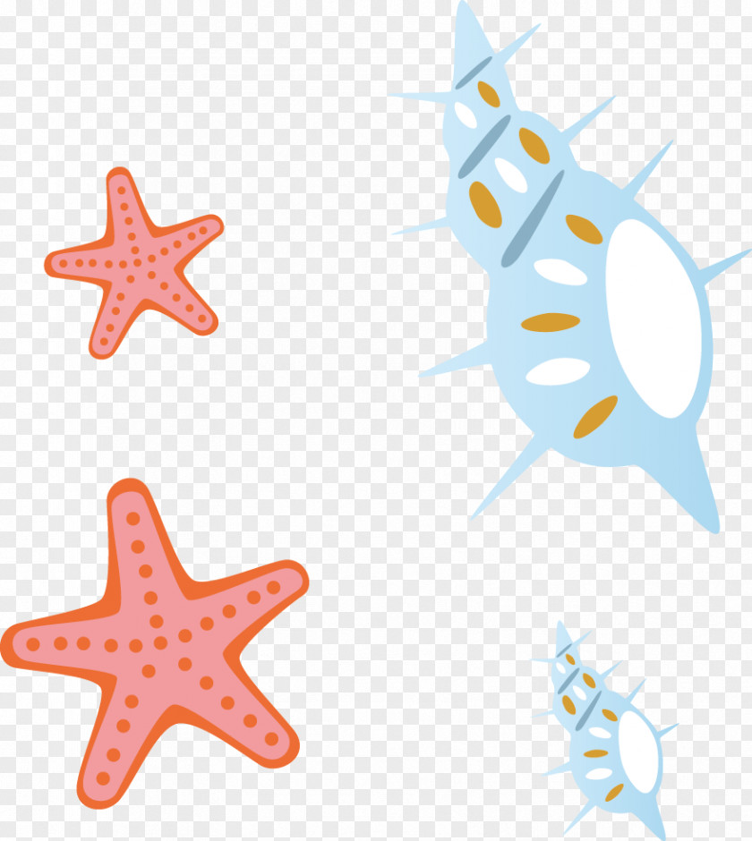 Cartoon Starfish Conch Material Clip Art PNG
