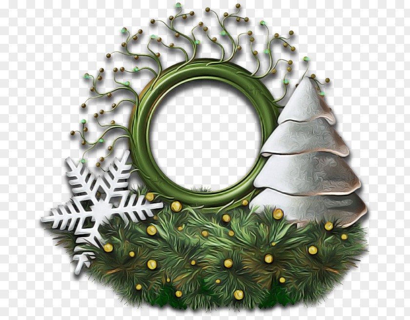 Colorado Spruce Conifer Christmas Decoration PNG
