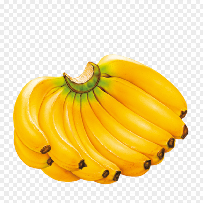 Banana Fruit Pattern Kripik PNG