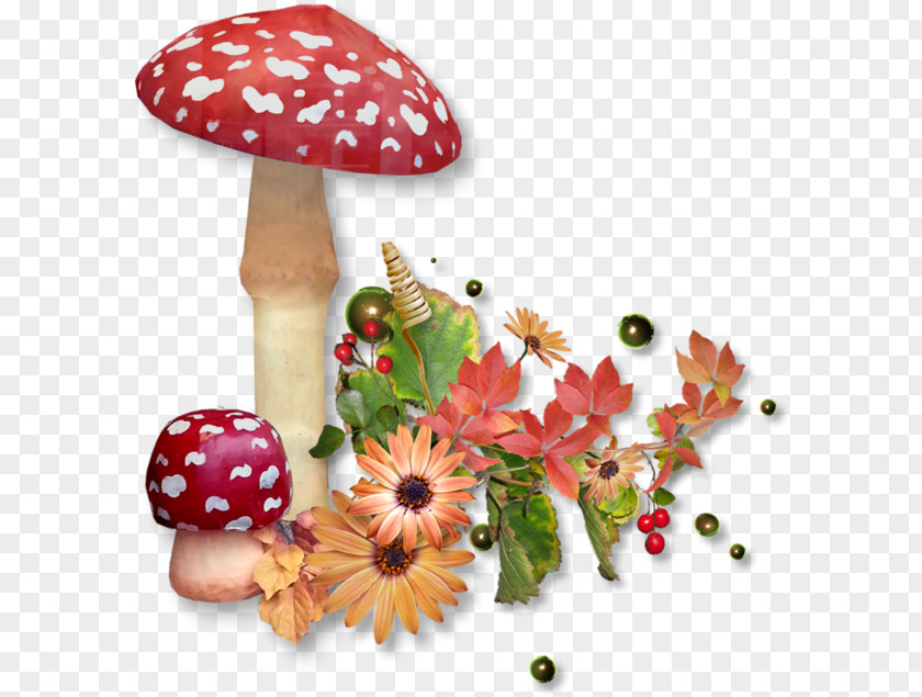 Decorative Red And White Mushrooms Points Amanita Mushroom Fungus Clip Art PNG