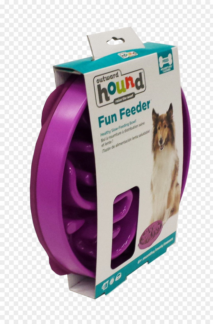 Dog Pet Hound Bowl PNG