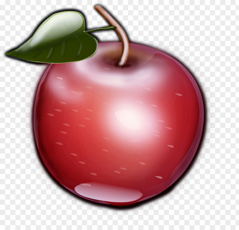 Fruit Red Tree Cherry Plant PNG