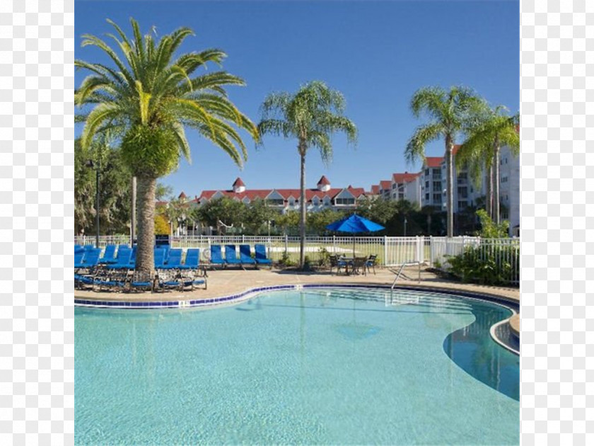 Hotel Orlando Lake Buena Vista Grand Beach By Diamond Resort Swimming Pool PNG