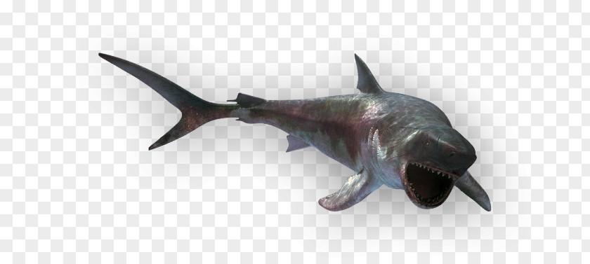 Megalodon Shark PNG