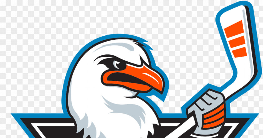 San Diego Gulls American Hockey League Anaheim Ducks Cleveland Monsters Antonio Rampage PNG